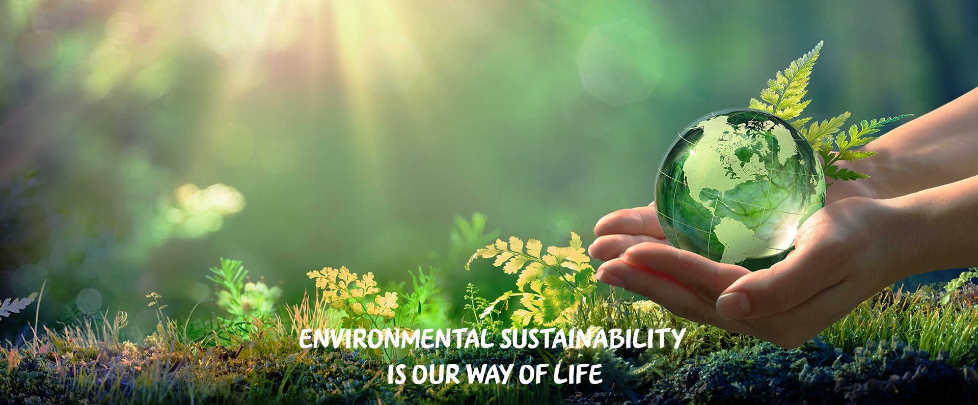 Environment