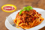 Bolognese Lifestyle